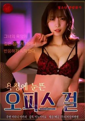南风知我意 热播电视剧全集在线观看